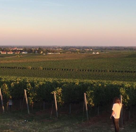 ホテル Alter Winzerhof Weisenheim Am Berg E.k