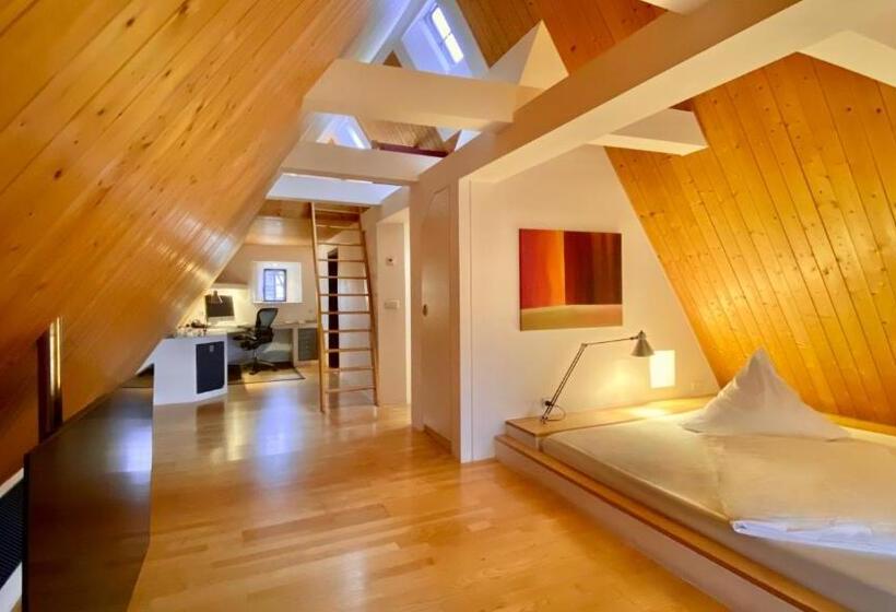 酒店 Denkmalschmiede Höfgen