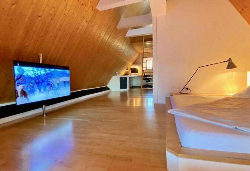 酒店 Denkmalschmiede Höfgen