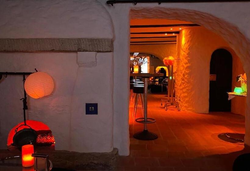 酒店 Denkmalschmiede Höfgen