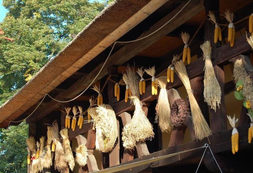 Отель Die Gurkenscheune Frühstückspension