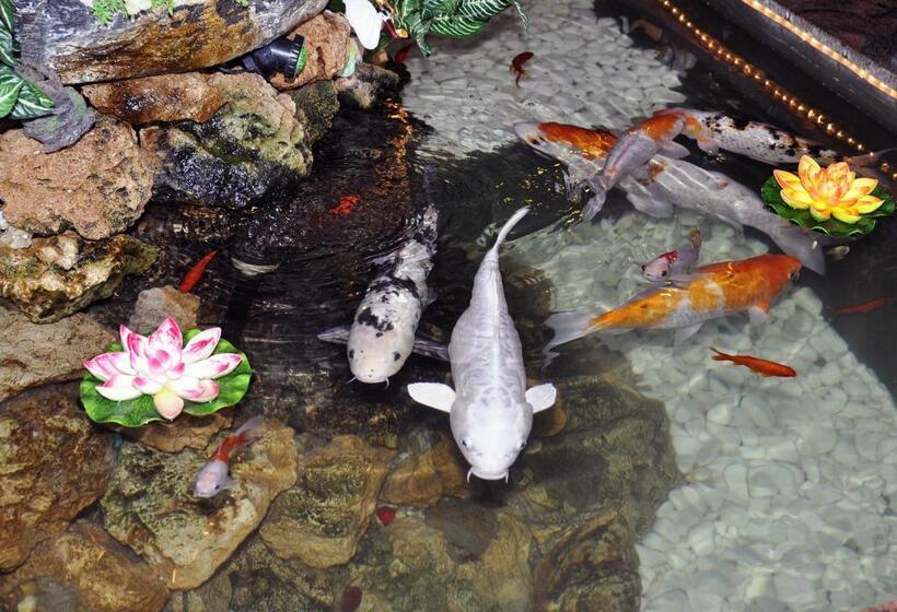 酒店 Europaischer Hof