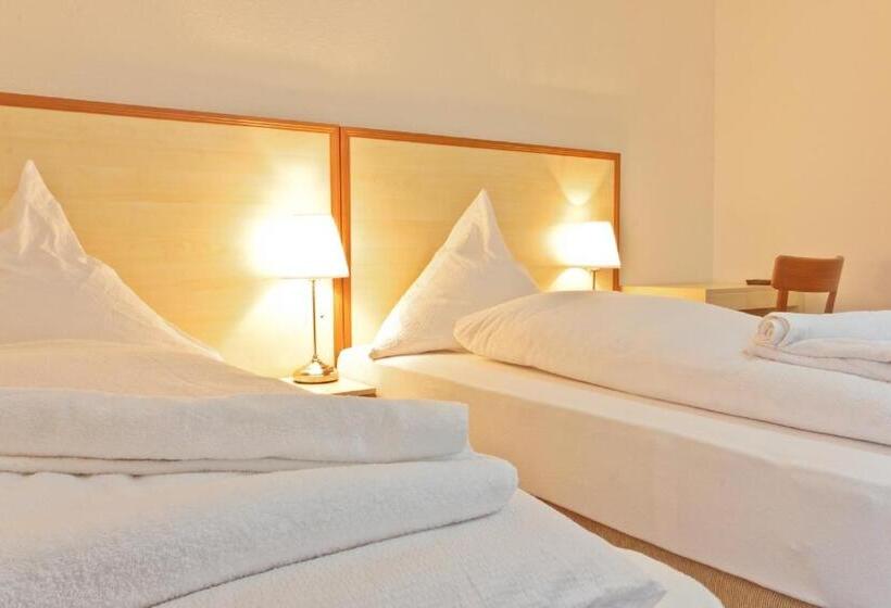 Отель Ganita Weil Am Rhein