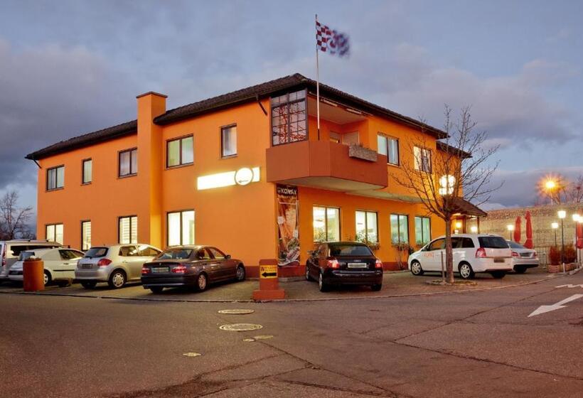 Отель Ganita Weil Am Rhein