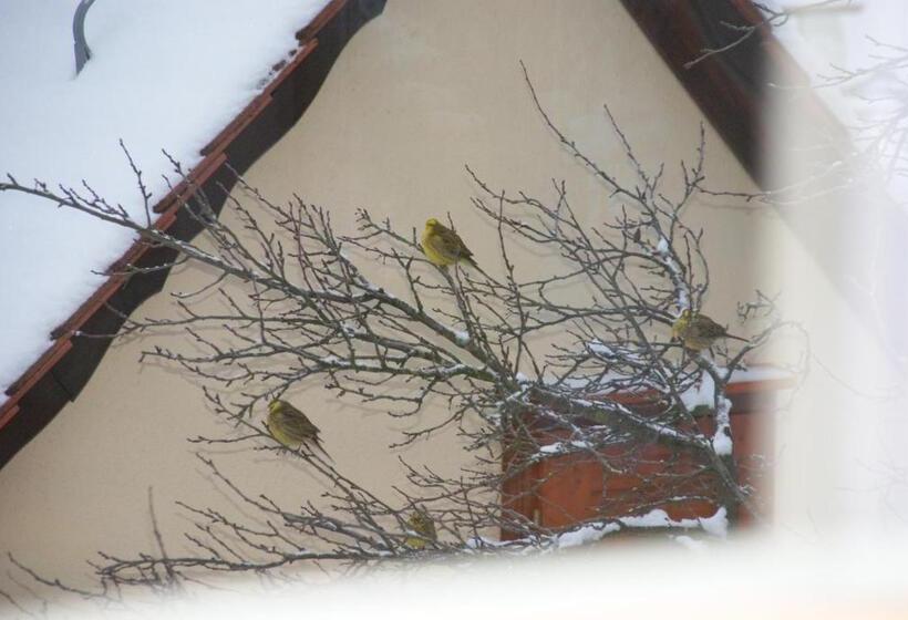 בית מלון כפרי Gasthof Jägerheim