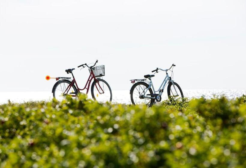 酒店 Gl. Brydegaard