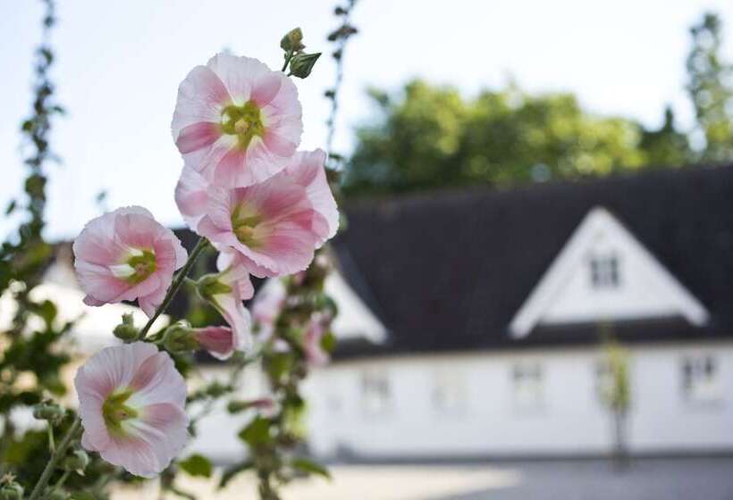 酒店 Gl. Brydegaard