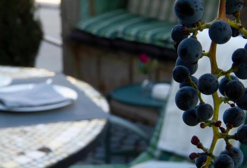 酒店 Goldener Stern