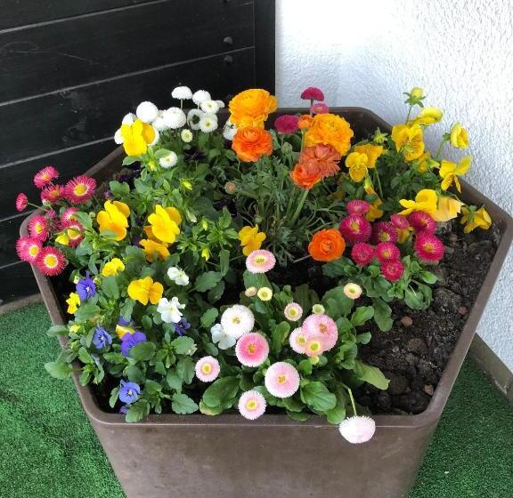 Отель Gästehaus Cramer