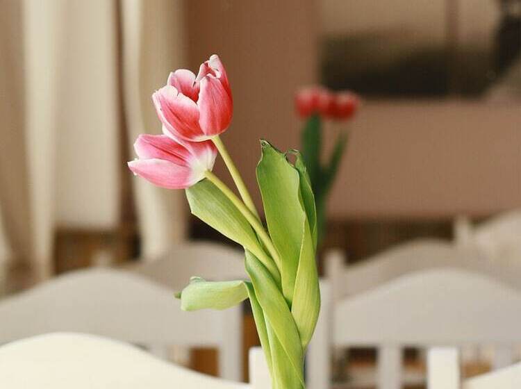 בית מלון כפרי Haus Am Bach   Gemütliche Pension