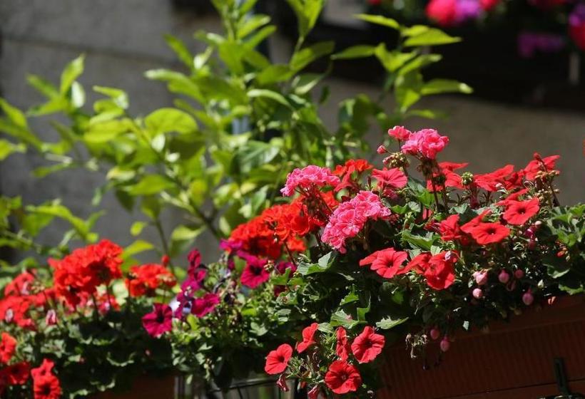 Отель Haus Jutta