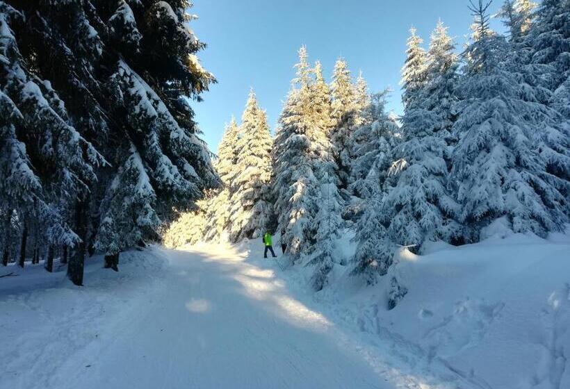 ホテル Haus Linde Frauenwald Am Rennsteig
