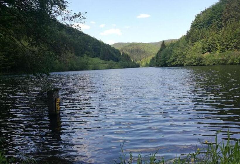 ホテル Haus Linde Frauenwald Am Rennsteig