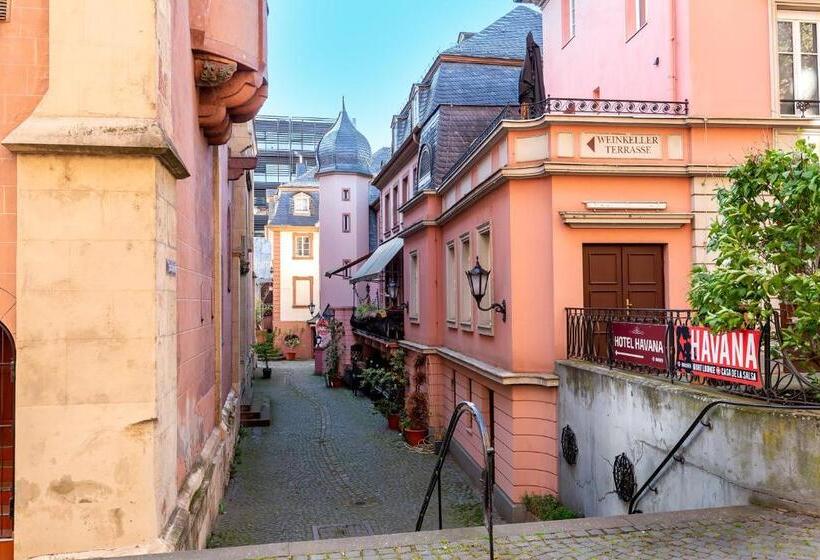 בית מלון כפרי Havana