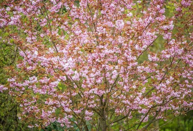 בית מלון כפרי Jernbanegade