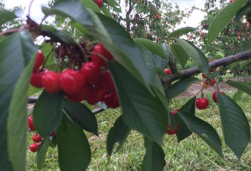 בית מלון כפרי Johanneshof Gästehaus