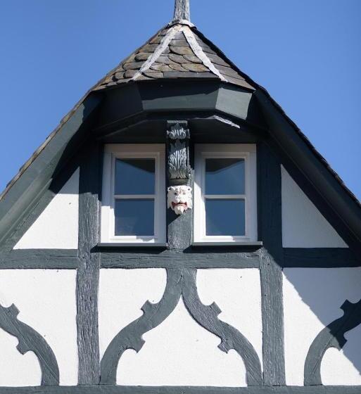 בית מלון כפרי Krone Martinsthal