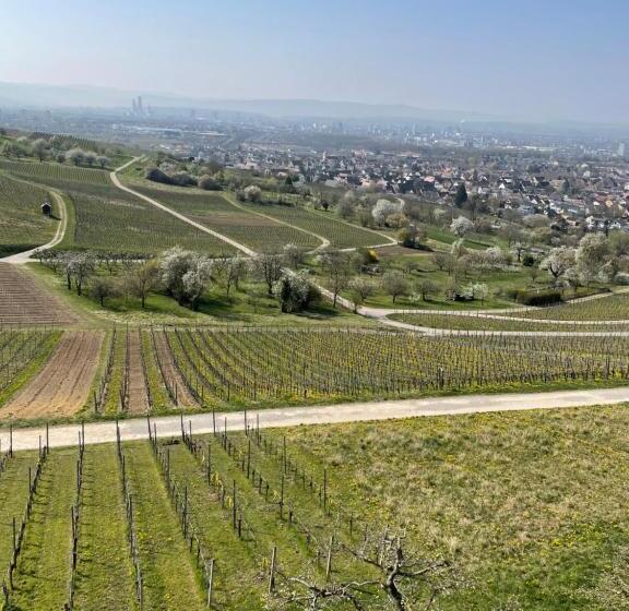 فندق Landgasthof Rebstock Weil Am Rhein / Basel
