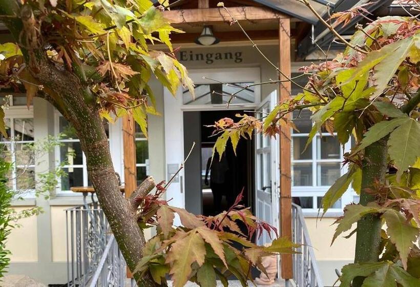 فندق Landgasthof Rebstock Weil Am Rhein / Basel