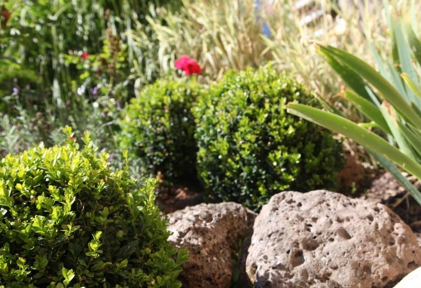 Отель Pension & Appartments Landhaus Bettina Fulda