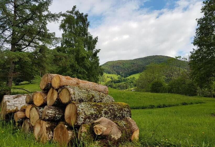 Отель Landhaus Sonnenhof