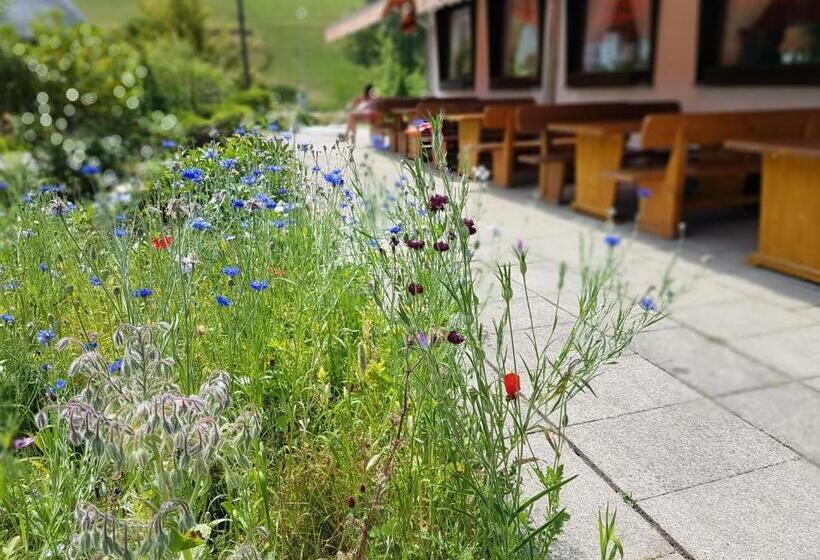 Отель Landhaus Sonnenhof