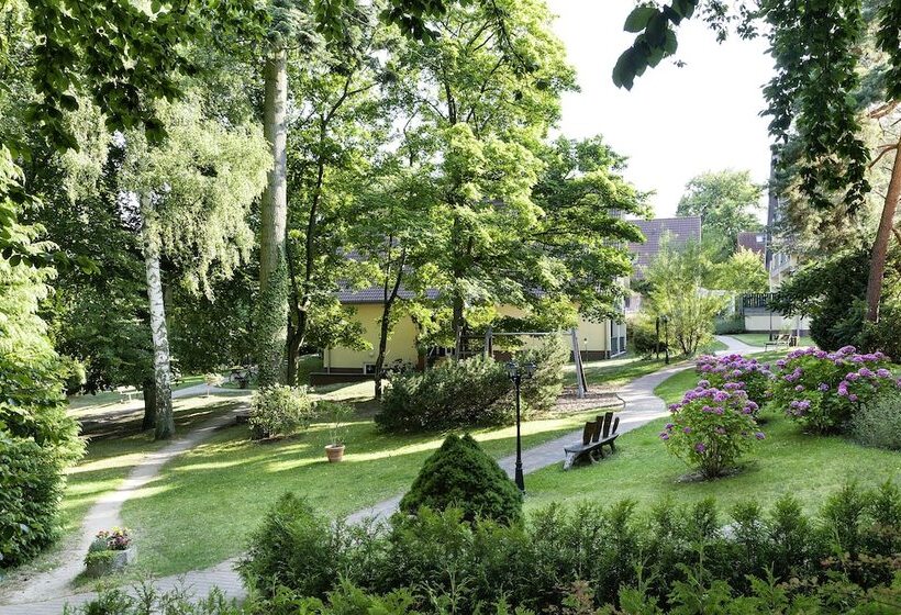 Ostseehotel Villen Im Park Ein Rovell