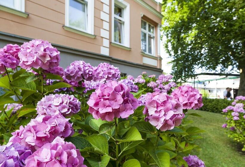 Ostseehotel Villen Im Park Ein Rovell