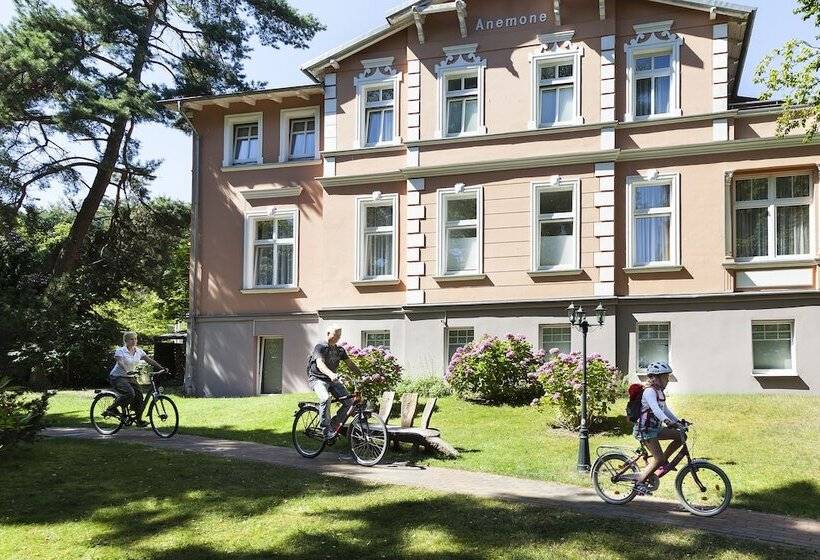 Ostseehotel Villen Im Park Ein Rovell