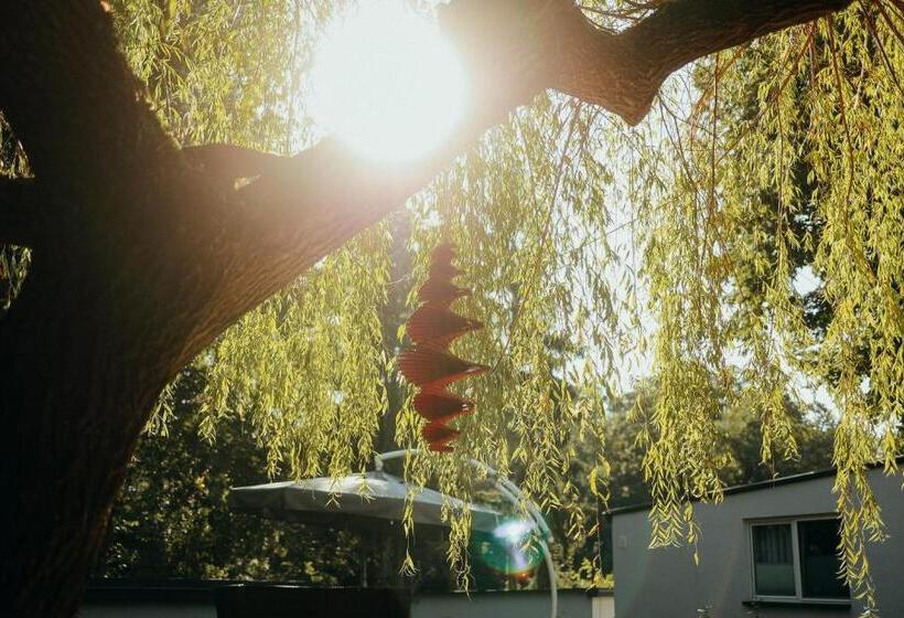 Отель Paulshöhe