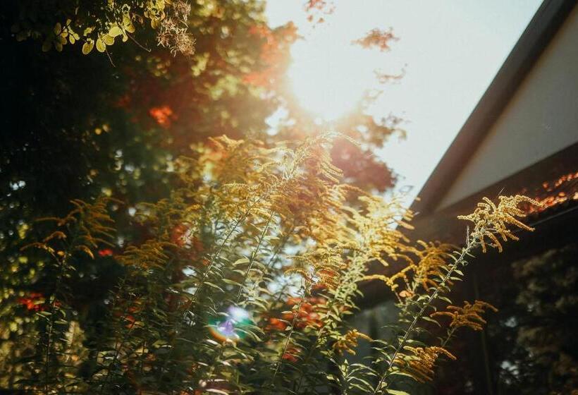 Отель Paulshöhe