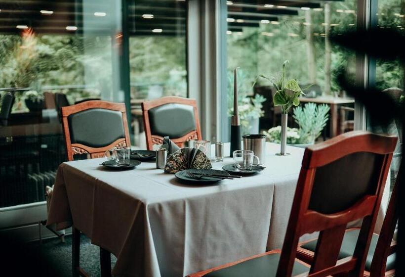 Отель Paulshöhe