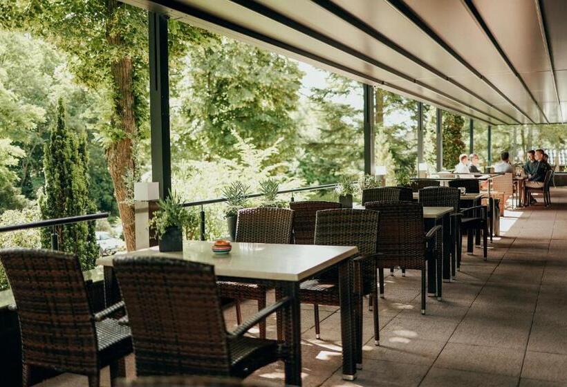 Отель Paulshöhe