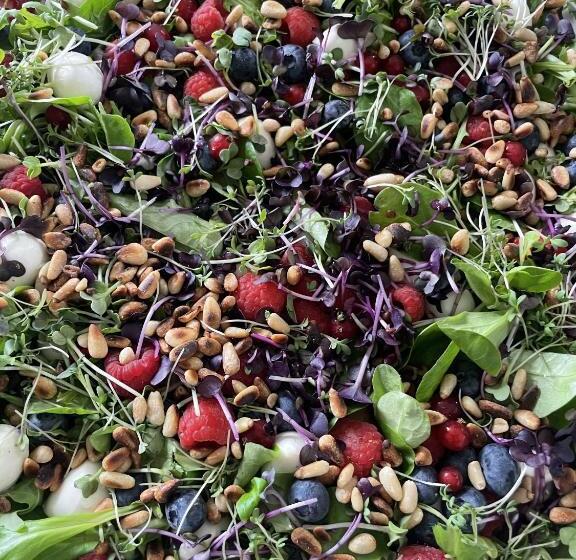 Отель Pension Burkhardt