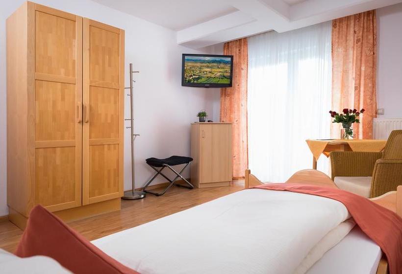 Отель Pension Gabriela