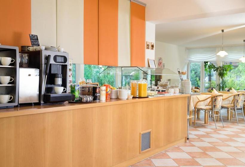 Отель Pension Gabriela