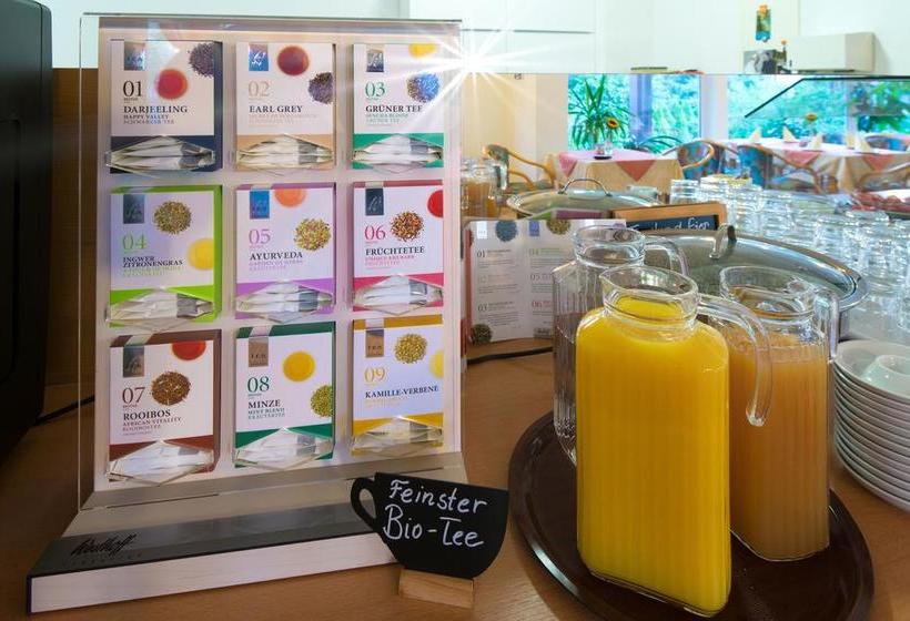 Отель Pension Gabriela