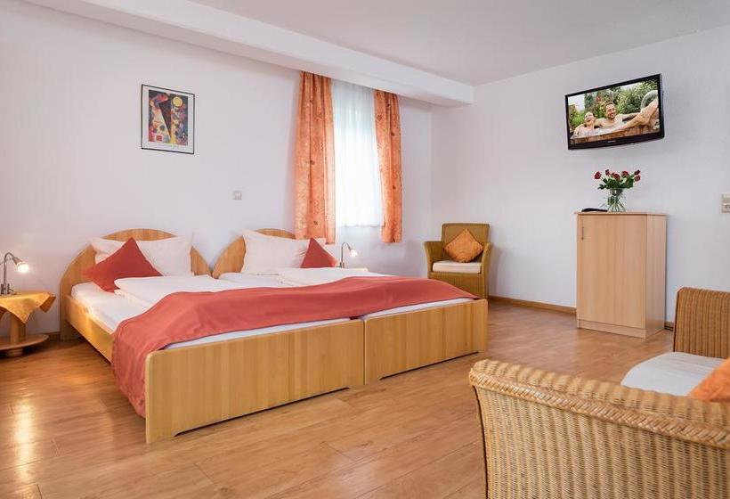 Отель Pension Gabriela