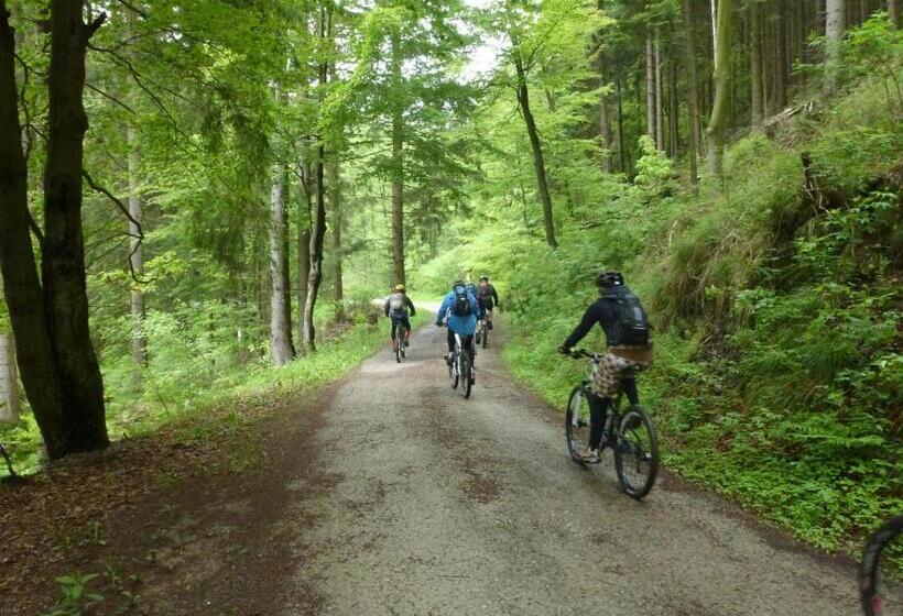 ホテル Pension Gelpkes Mühle