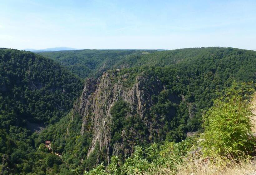 ホテル Pension Gelpkes Mühle