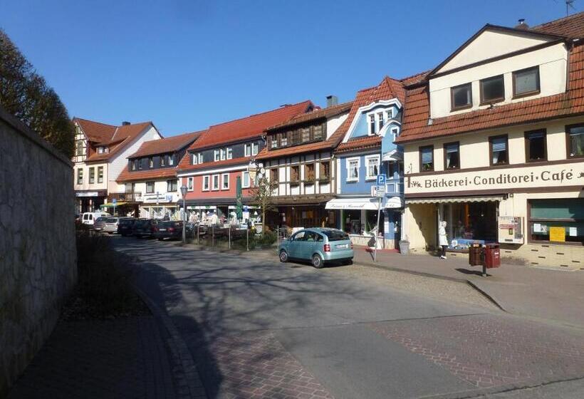 ホテル Pension Gelpkes Mühle