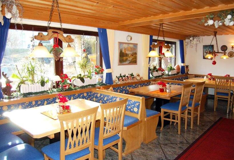 Отель Pension   Heidelberg