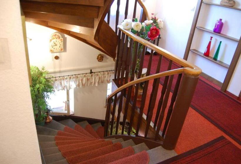 Отель Pension   Heidelberg