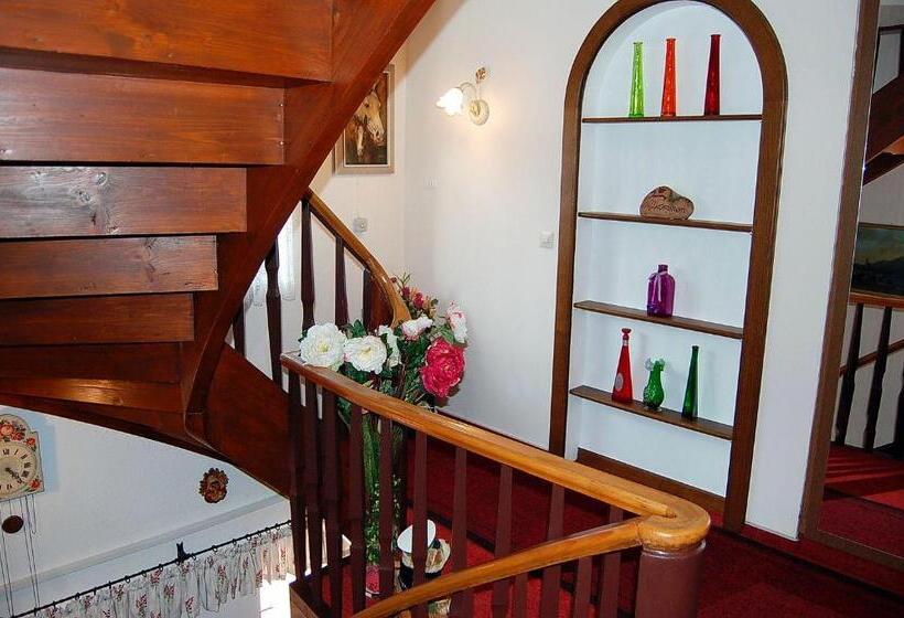 Отель Pension   Heidelberg