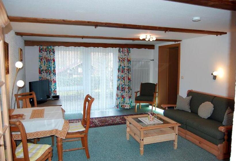 Отель Pension   Heidelberg