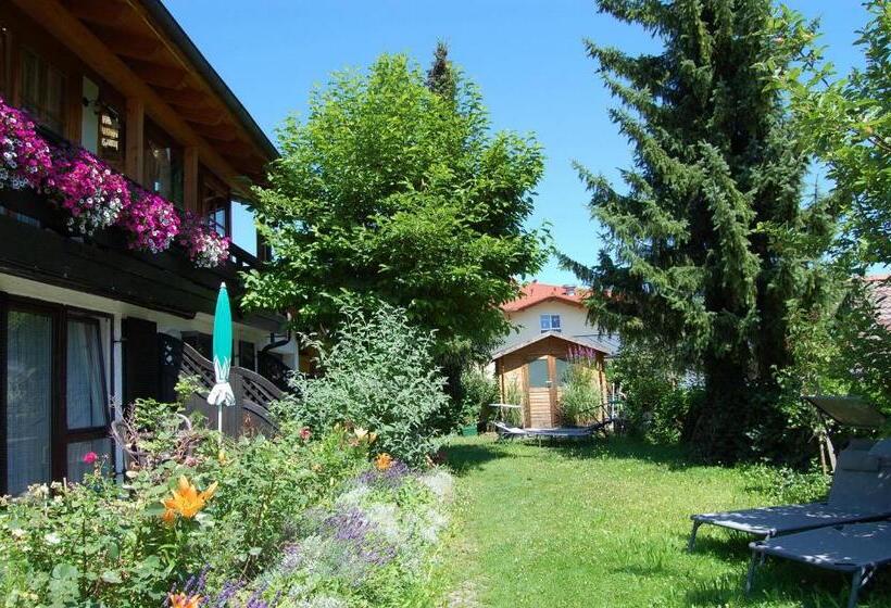 Отель Pension   Heidelberg