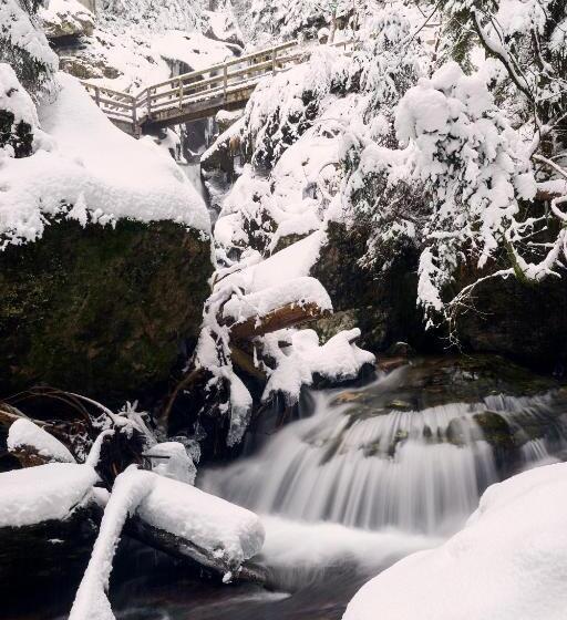 Отель Pension Klein