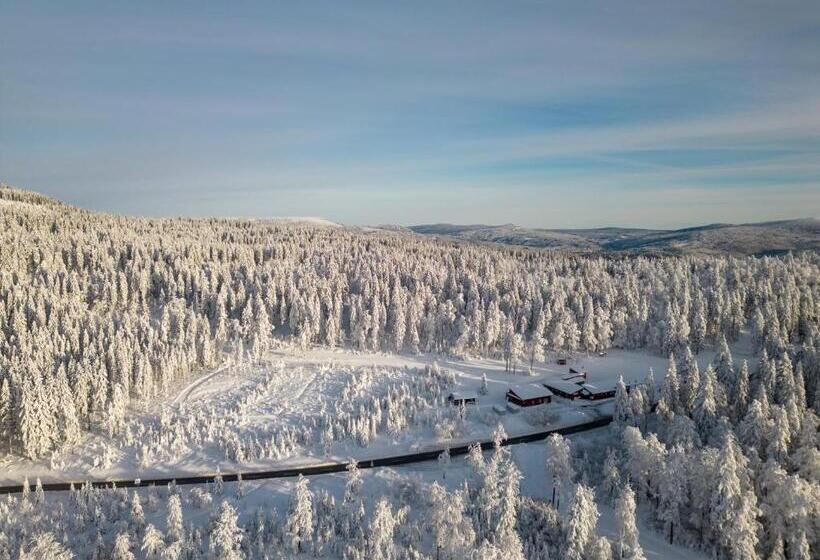 Отель Pension Klein