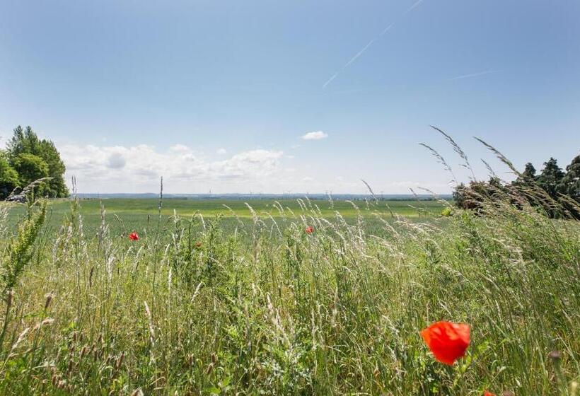 酒店 Pension Seeblick