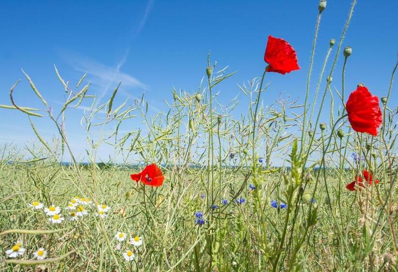 酒店 Pension Seeblick